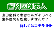 歯科医師募集