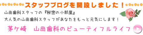 スタッフブログ開設しました！