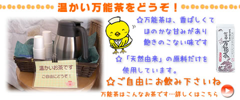 万能茶を置いています