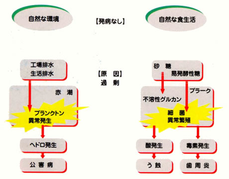 トータルから口を見る