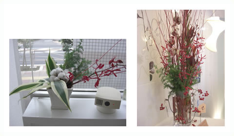 ���T�̃t�����[�A�����W�����g