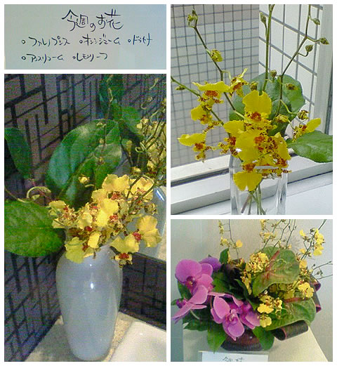 �t�����[�A�����W�����g