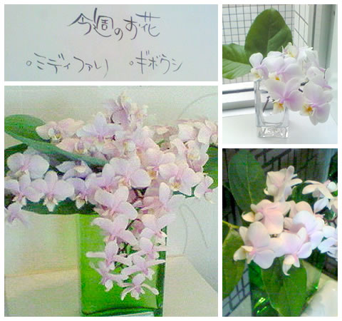 フラワーアレンジメント