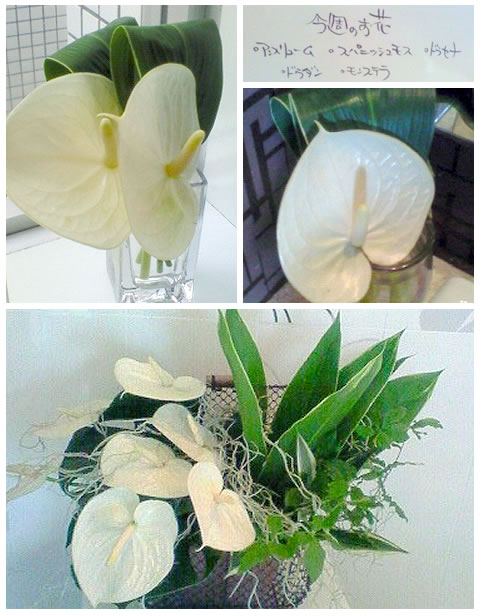 フラワーアレンジメント