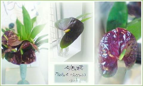 フラワーアレンジメント