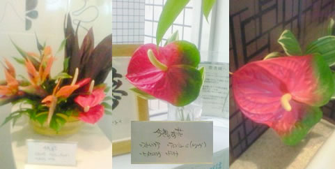 フラワーアレンジメント