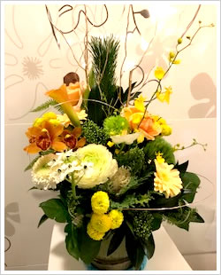 �t�����[�A�����W�����g