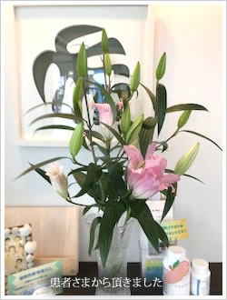 �t�����[�A�����W�����g