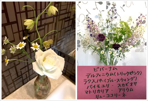 �t�����[�A�����W�����g