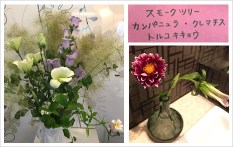 �t�����[�A�����W�����g