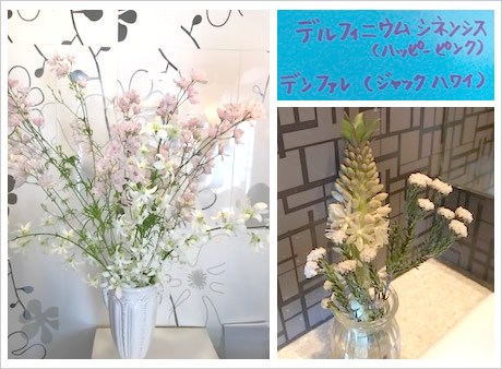 �t�����[�A�����W�����g