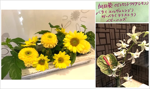 �t�����[�A�����W�����g