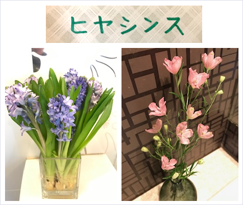 �t�����[�A�����W�����g