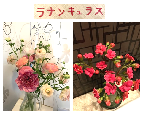 �t�����[�A�����W�����g