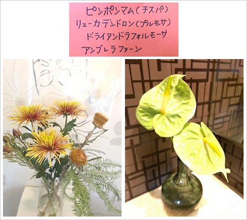 �t�����[�A�����W�����g