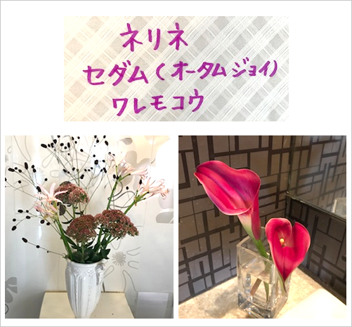 �t�����[�A�����W�����g