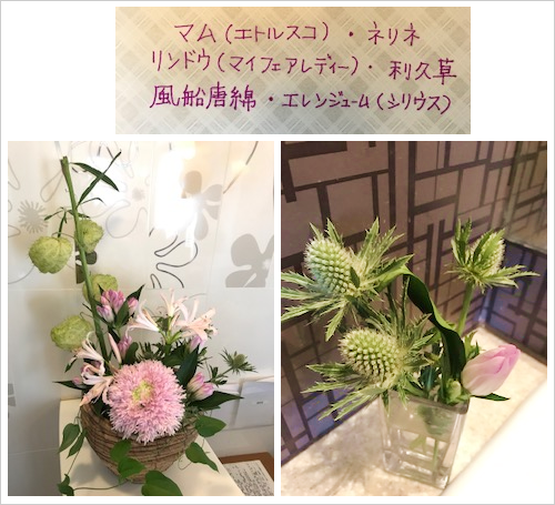 �t�����[�A�����W�����g