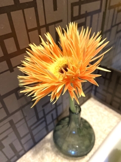 �t�����[�A�����W�����g