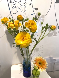 �t�����[�A�����W�����g