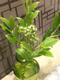 �t�����[�A�����W�����g