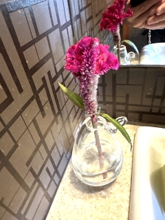 �t�����[�A�����W�����g