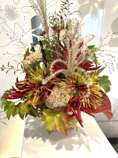 �t�����[�A�����W�����g