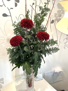 �t�����[�A�����W�����g