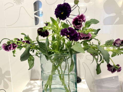 �t�����[�A�����W�����g