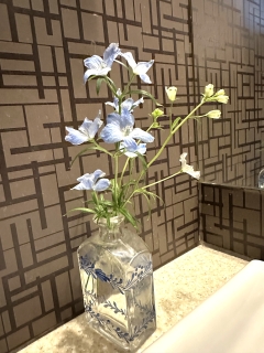 �t�����[�A�����W�����g