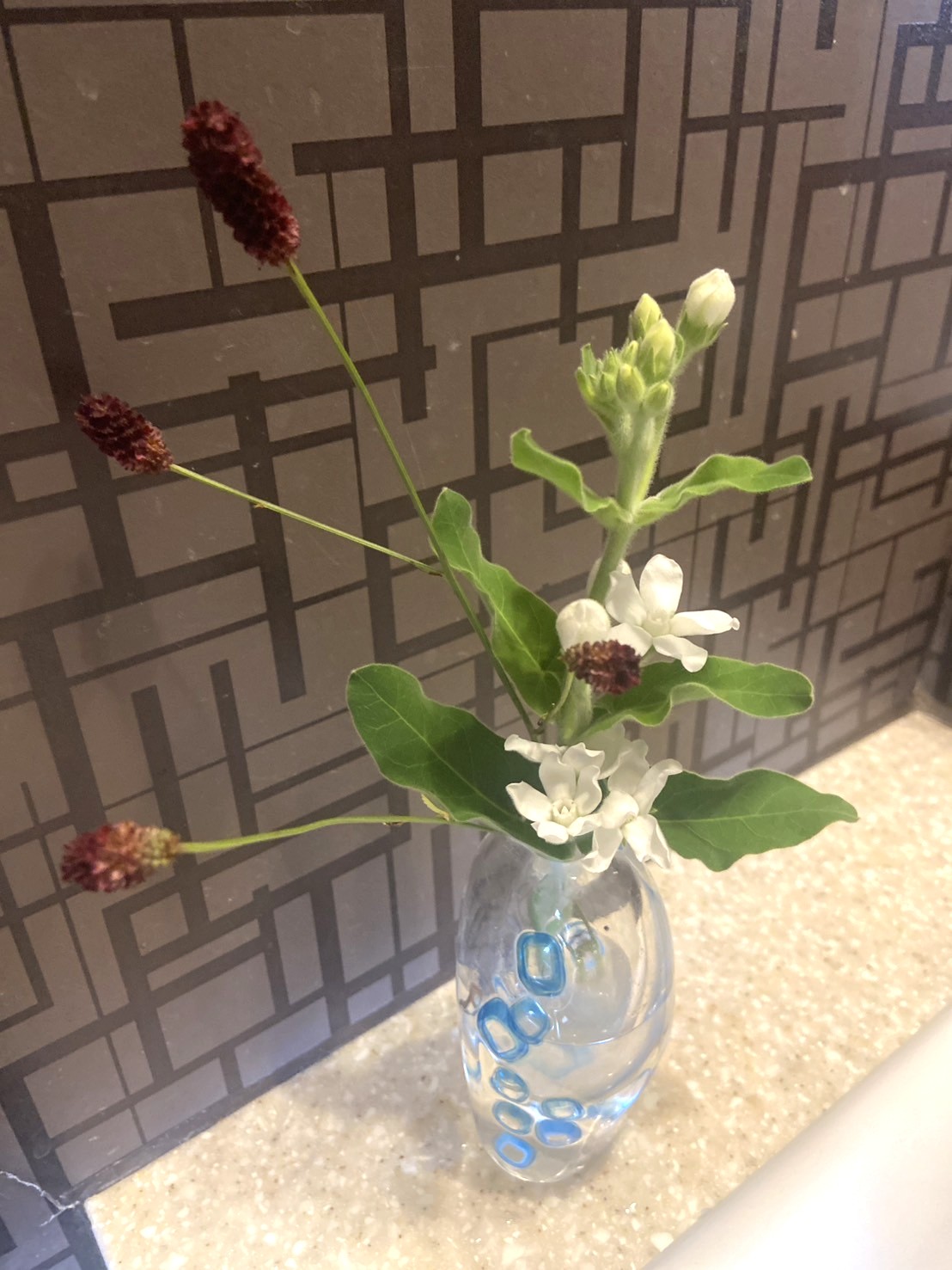 �t�����[�A�����W�����g