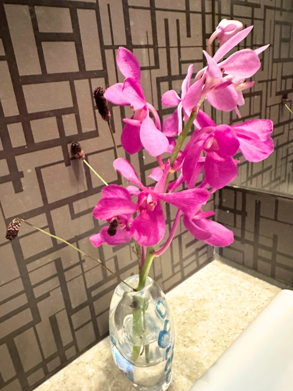 �t�����[�A�����W�����g