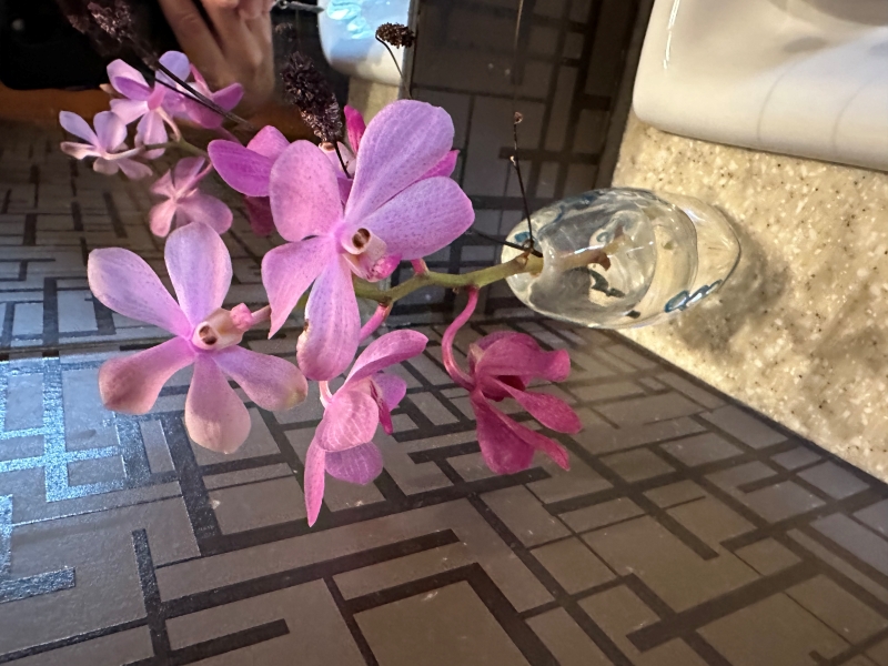 �t�����[�A�����W�����g