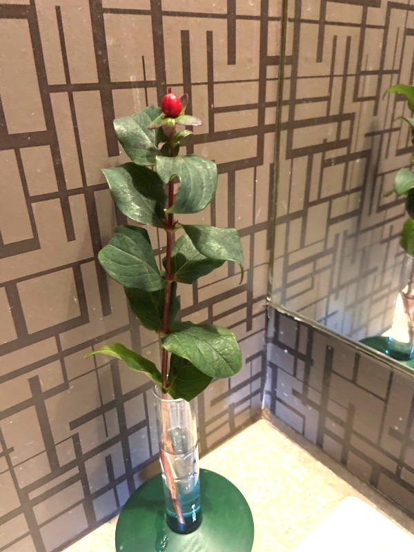 �t�����[�A�����W�����g