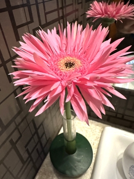 �t�����[�A�����W�����g