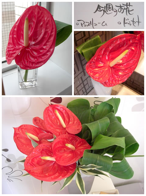 �t�����[�A�����W�����g