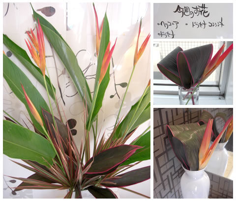 �t�����[�A�����W�����g