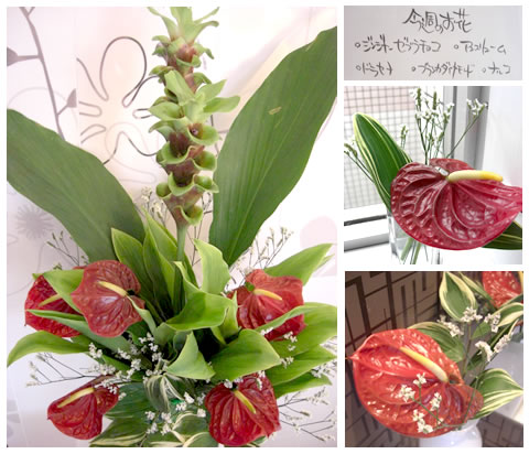 �t�����[�A�����W�����g