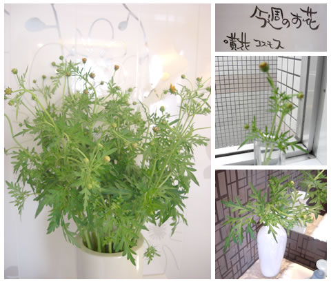 フラワーアレンジメント