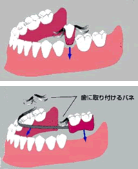 ���Ɏ��t����o�l