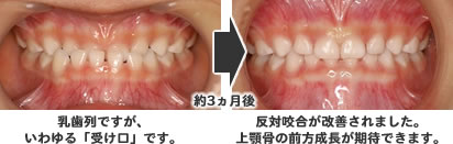 �������ȏǗ�