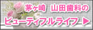 山田歯科スタッフの秘密の小部屋