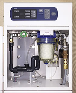 ���ې��ɂ�鎡��