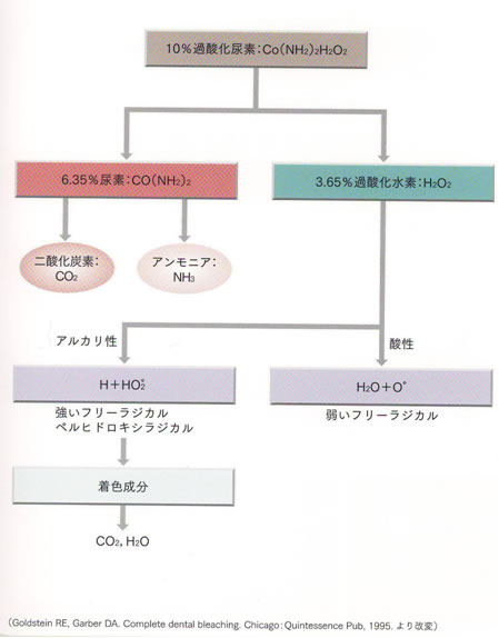 ホワイトニングの仕組み